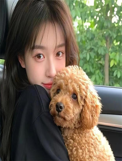 专业解读：《刀与花》的市场表现与观众反馈——艺术与技术的完美结合